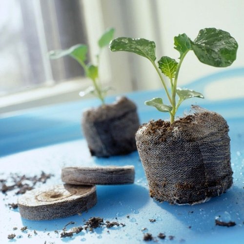 záhradné pokyny tipy údržba záhrady repotting pokyny pre záhradu na presmerovanie údržby záhrady
