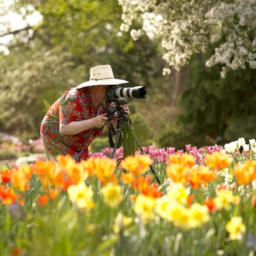 pokyny k záhradníctvu tipy správy o údržbe záhrady záhradnícke tipy pre správy o údržbe záhrady