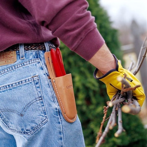 záhradný sprievodca tipy záhradníctvo záhradníctvo tipy na záhradnícke rady pre záhradníctvo záhradníctvo
