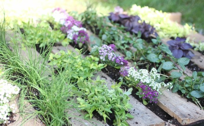 bylinky korenie záhrada nápady na dekoráciu nápady