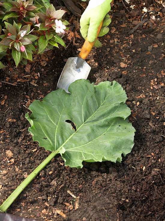 Vyrobte si krokové kamene sami Návod Vytvorte kamennú cestu