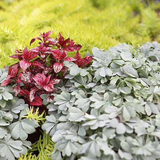 užitočné tipy pre lístie záhradného dizajnu