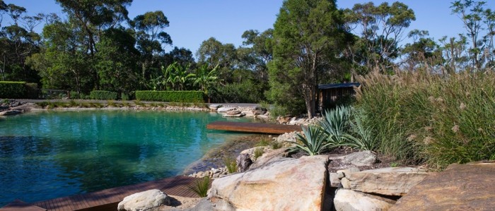 záhradný dizajn trávnaté kamene bazén tyrkysový