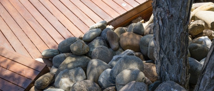 krajinný dizajn kamienky stromová záhrada nápad tvar