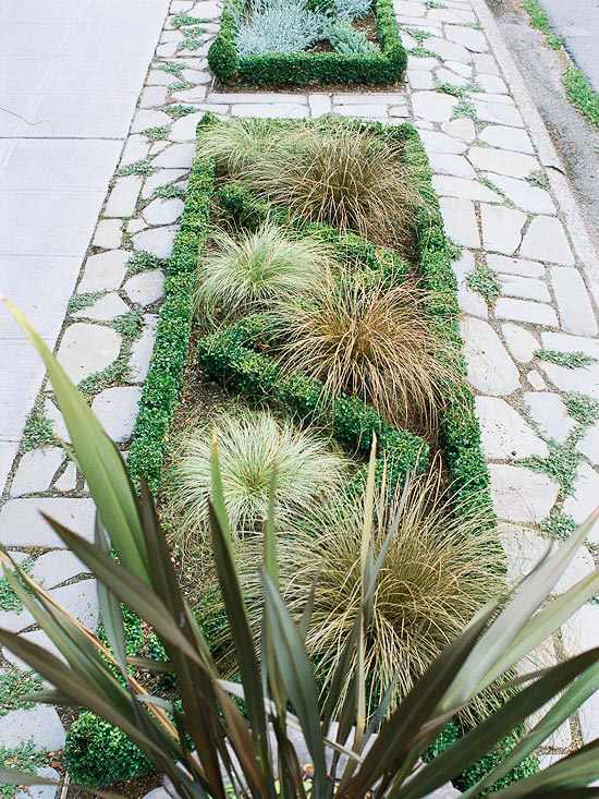 Kamenná cesta rastliny dom záhradný chodník tvar Kamenná cesta rastliny dom záhradný chodník