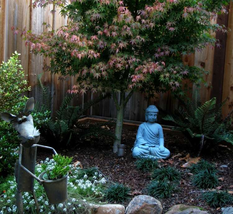 design-garden-small-idea-strom-rastliny-budha-skalka