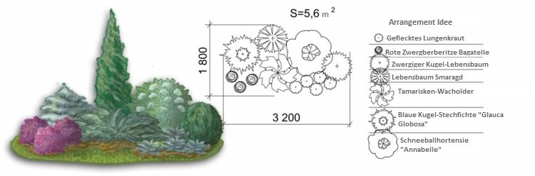 záhradný dizajn-hortenzie-vrabce-jalovec-strom-života-dekoratívny
