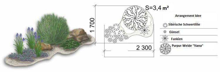 záhradný dizajn-vŕba-fialová-funkien-farebné-listy