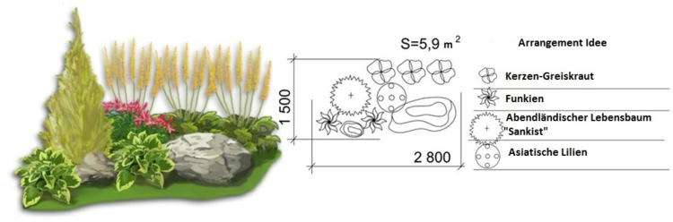 garden-design-yellow-blossom-candles-ragwort-funkien