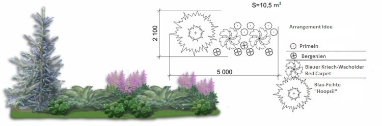 záhradný dizajn-modro-smrekové-hory-prvosienky-borievka-nápad