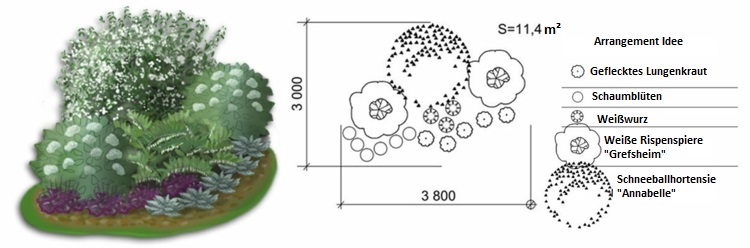 záhradný dizajn píšťalka-hortenzia-panicle-deco-exteriér