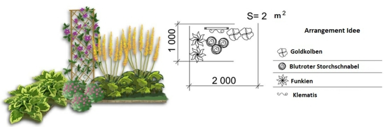 garden-design-clematis-popínavé rastliny-záhony-create-funkien