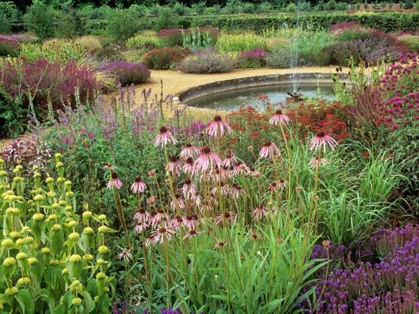 Záhradná lúka kreatívne dizajnovo tvaruje kríky sedmokrásky Studen Kreatívne vytvorte záhradnú lúku s kríkmi