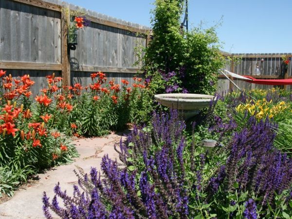 Šalvia daylily záhradná cesta krásny nápad na dizajn záhrady Šalvia denná záhradná cesta pekný nápad