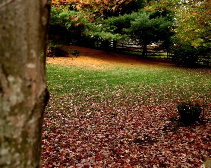 jesenné lístie záhrady červenohnedé tipy na starostlivosť zima