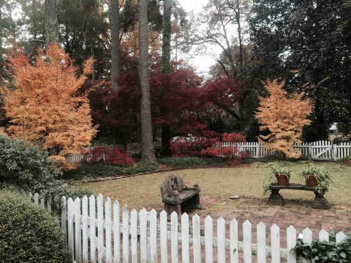 november záhradné lístie javorové listy prípravné stromy