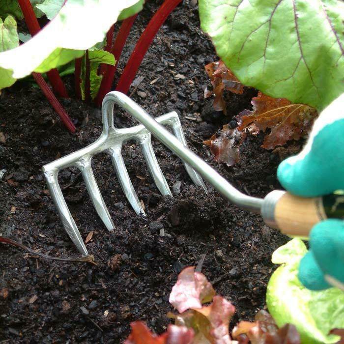 hrable ručná záhradná pôda uvoľnené lôžko september záhradníctvo