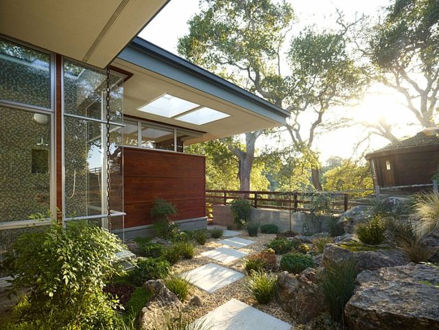 Skaly a kríky v záhrade