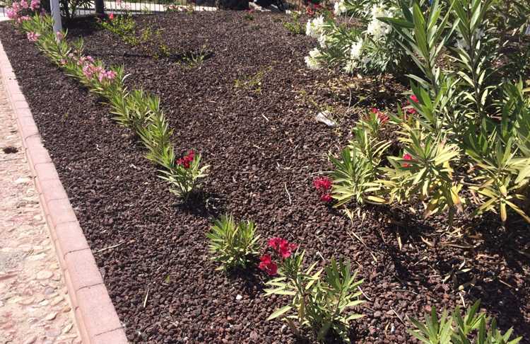 Kamenný záhon lávový mulčovaný záhon proti burine