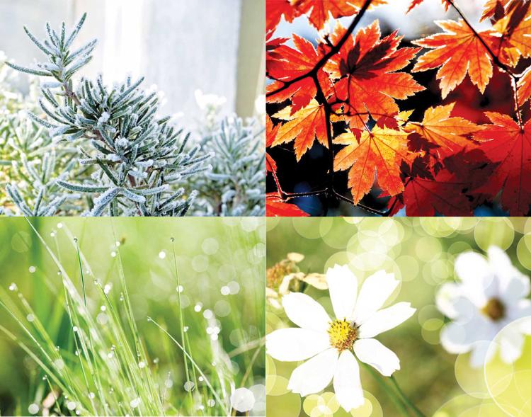 vykonávať rôzne úlohy v záhrade vytvárať nové záhradné sezóny-rôzne úlohy