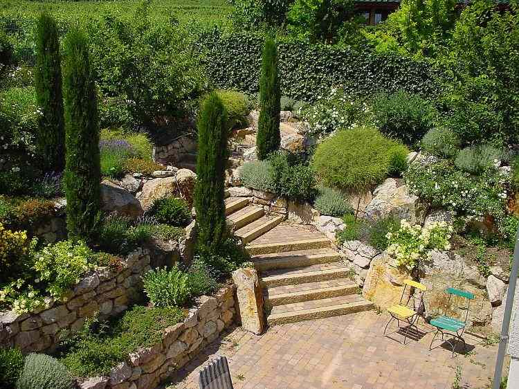 záhradné terasy svah záhradná terasa záhradný dizajn záhradníctvo rútiaci sa múr rastliny zelený cyprus