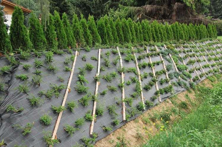 záhradné terasy svah záhradná terasa záhradný dizajn záhradníctvo minimalistický pád dizajn steny opatrenia