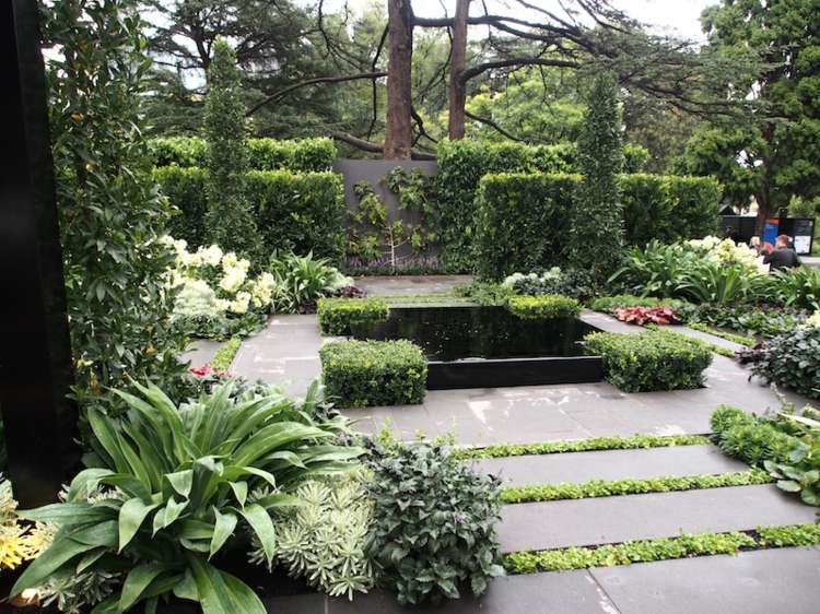 záhradné-terénne-úpravy-francúzske-prvky-vodné-živé ploty-rastliny