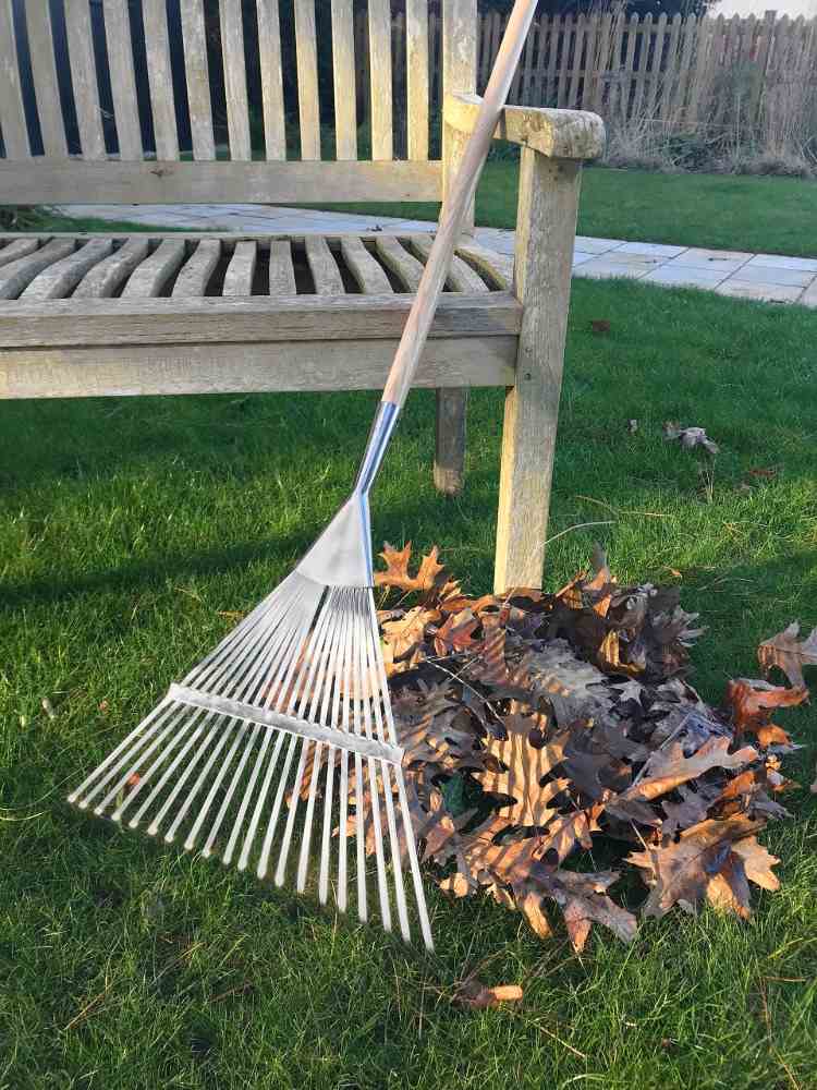 Zazimujte suché listy stromov a mach z trávnika v jesennej záhrade