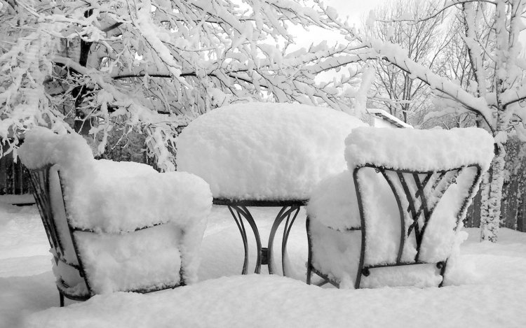 záhradníctvo-v-decembri-čo-ešte-sa-dá-urobiť