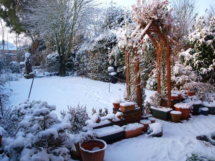 záhradníctvo v decembri snežná pergola