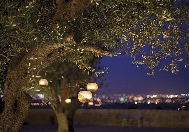 záhradná dekorácia-sklenená-sklenená-lampáš-strom-visiaca-vŕba-strom-večer