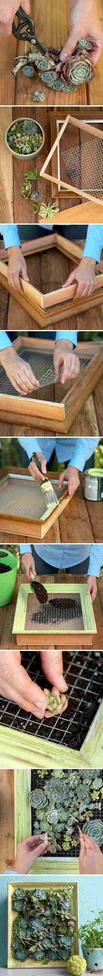 nástenná dekorácia so sukulentmi rám obrazu drôtené pletivo DIY