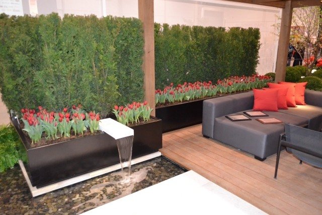 moderný záhradný dizajn živého plotu s živým plotom