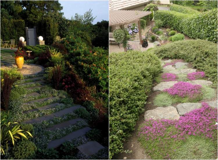 Zasaďte pôdny kryt medzi kamenné schody v záhrade terénne úpravy-svah-schody-kameň-zemný kryt