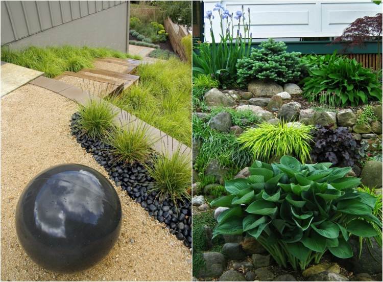 Funkia hosta, okrasné trávy a kvety kosatca na svahu Záhradný dizajn na svahu nápady-rastliny-okrasné trávy-funkia-dúhovka-kvety