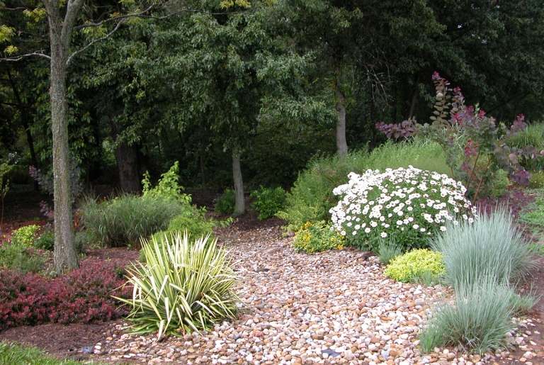 nápady na dizajn záhrady gravel-graeser-buescher-baeume-shadows