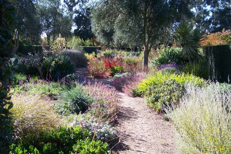 záhradný dizajn-nápady-divoká zeleň-zemný kryt-tepelne odolný