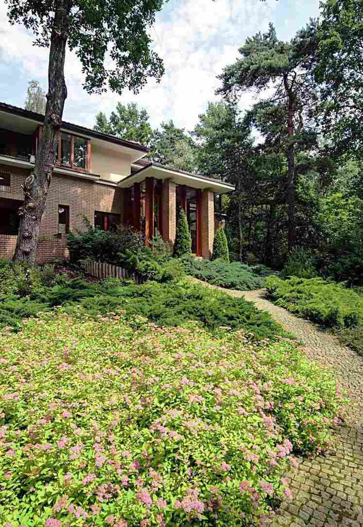 Záhradná cesta k vchodu do domu premiestnená dlažbou Záhradný dizajn na svahu-dom-chodník-chodník-zemný kryt-odtieň-bluehnd