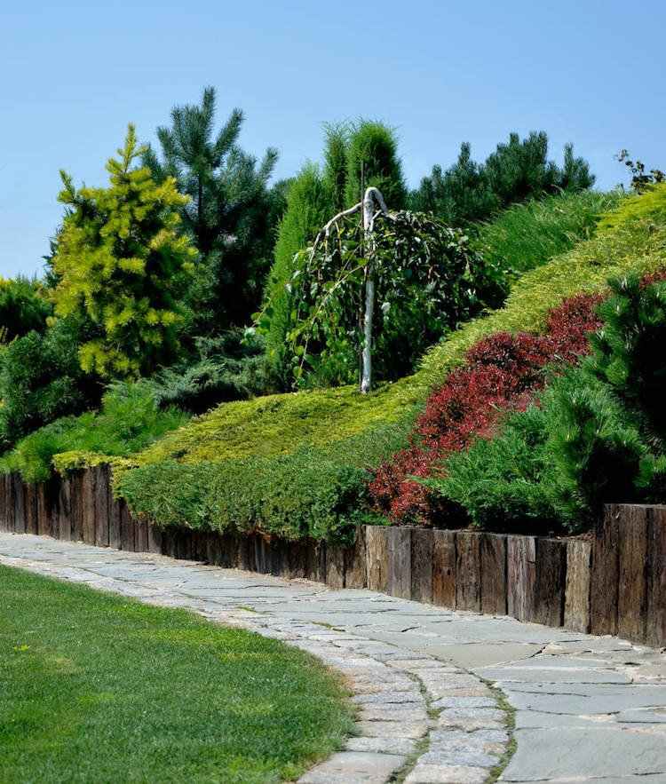 Chodník v záhrade vo svahu oddelený od záhonu rastlín drevenými blokmi terénne úpravy-stráň-chodník-vyvýšená posteľ-kríky-drevo-vždyzelené