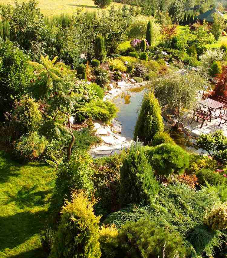 vždyzelené kríky a stromy, potok a terasa v záhrade terénne úpravy-stráň-potok-vždyzelené-rastliny-ihličnany-pôdopokryvná terasa