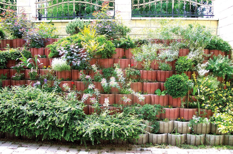 Zasaďte letokruhy v radovej úprave a sviežej zeleni záhradný dizajn-stráň-vyvýšené záhony-kvetináče-okrúhly tehlovo-vždyzelený-zemný kryt