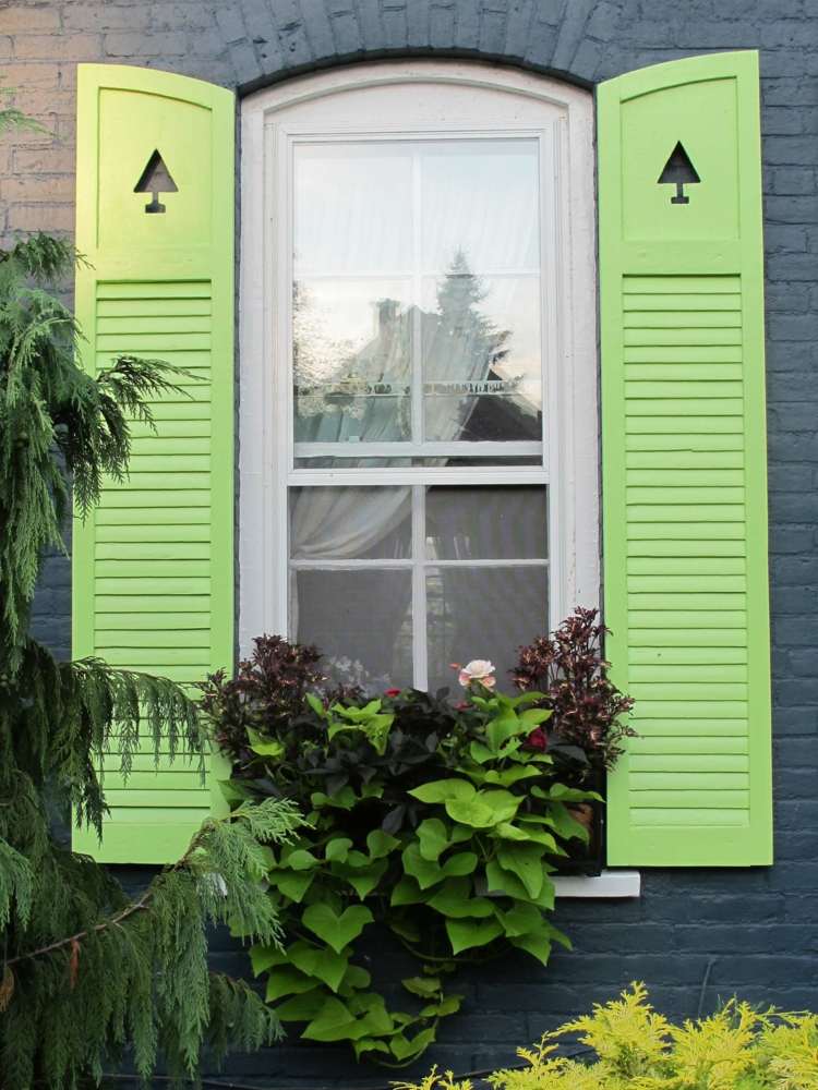 záhradný dizajn-s-drevom-zelenými okenicami-kvetináčom-rastliny