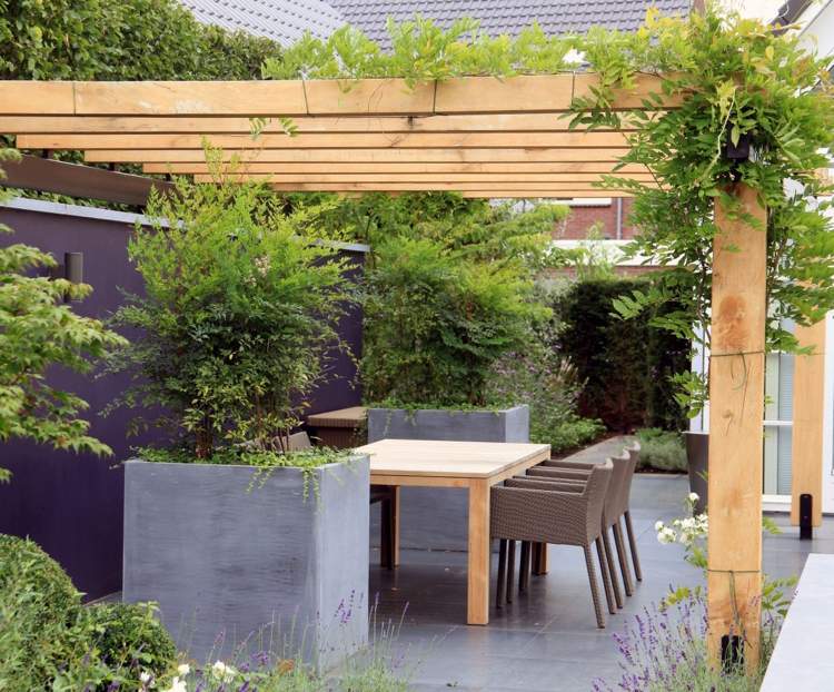 Dizajn záhrady s kvetináčmi, ochrana stromov, súkromie