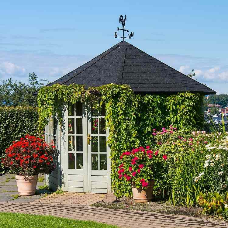 Lepšiu izoláciu zabezpečí výsadba záhradných prístreškov popínavými rastlinami, ako je brečtan