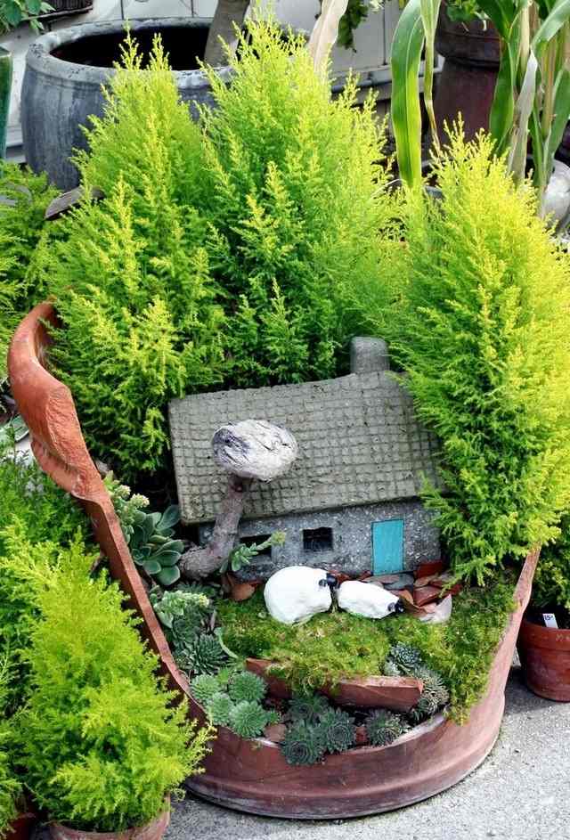 rastlinné domy kamene mach trpasličí cyprusy