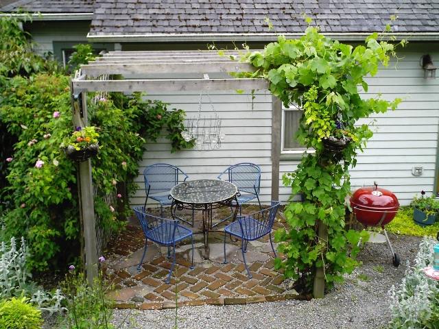 altánok zelené popínavé rastliny vinič