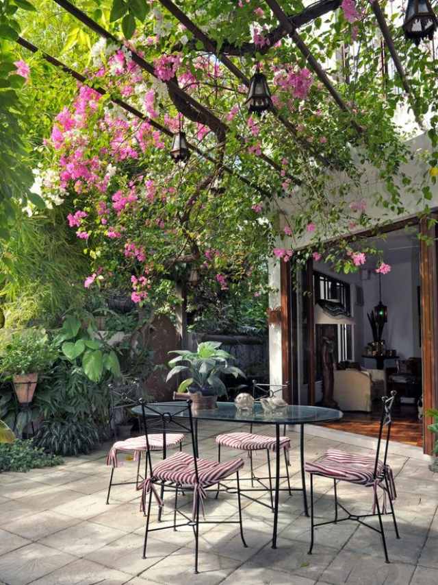 terasa pergola popínavé rastliny železný nábytok