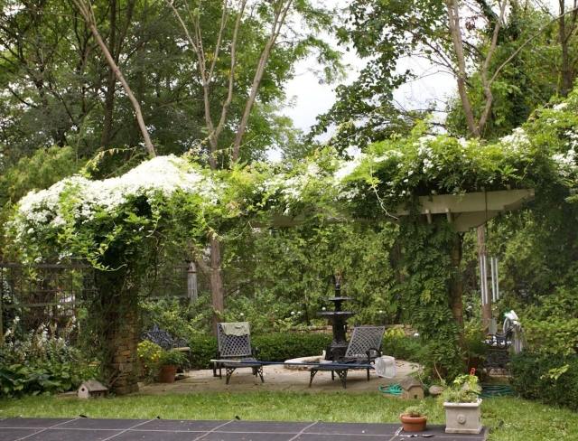 klematis biela pergola zelená záhrada