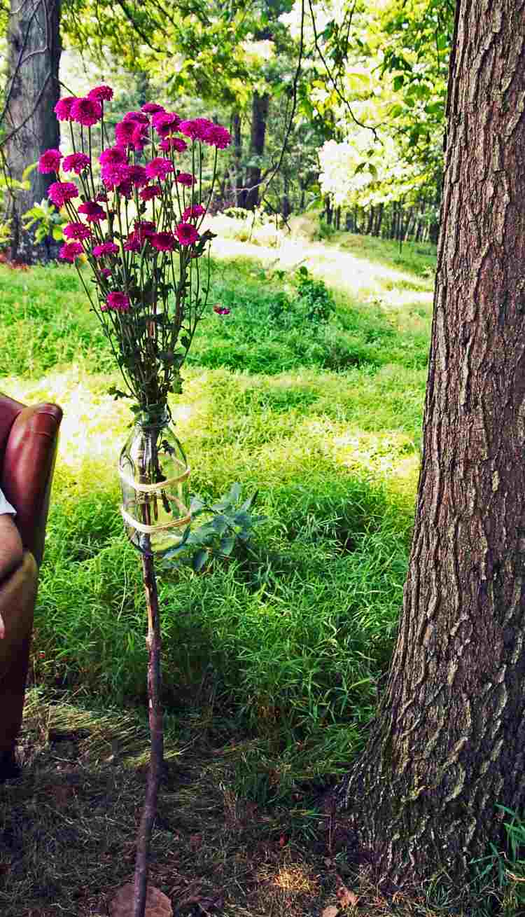 záhradná zásuvka-urob si sám-konár-sklenená-fľaša-kvety