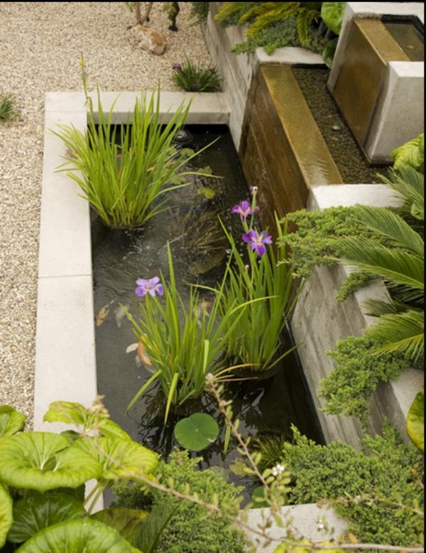 stavba povodia krok päť tipov pre záhradné jazierko na dvore